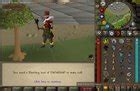 flyer osrs|I've been killing imps to get the flier for Forgettable Tale of a .